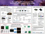 Quantifying HIV-1 Viral Load with Fluorescence Correlation Spectroscopy