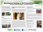 Mechanical Testing of 3D Printed Prosthetics