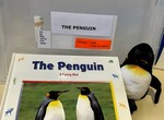 The penguin : a funny bird