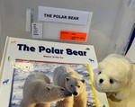 The polar bear : master of the ice