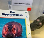 The hippopotamus : river horse