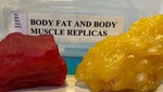 [Body fat and muscle replicas]